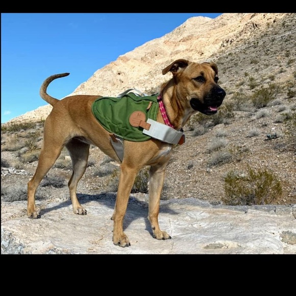 Dog Pack - Picture 1 of 14